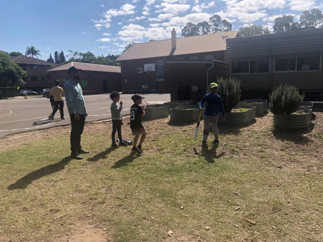 Parramatta Arabic School Cricket